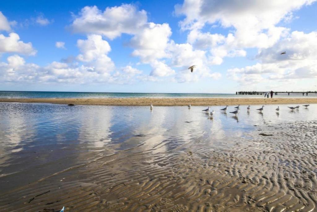 Ferienwohnung Seesternchen 3 Scharbeutz Kültér fotó